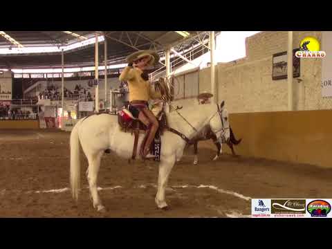 #BoletinCharroTv Learn about Luis Briseño, an excellent rider.