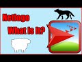 What Is Netlogo Simulations Tutorial