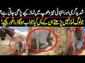Viral Video Of Namaz In Desert Namaz Kisi B Halet Min Maaf Nhin Hy Namaz Min Dil Kasy Legy Ga