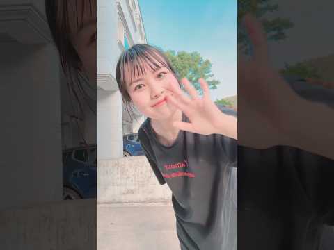 비디오 6