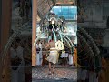 Panguni Uthiram Kavadi Aattam Vel Vel Muruga Tamil Devotional Song WhatsApp Status Viralvideos