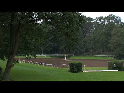 Dostihy Pardubice – živé vysílání