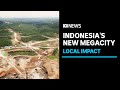 Construction ramps up at site of Indonesia's new capital | ABC News