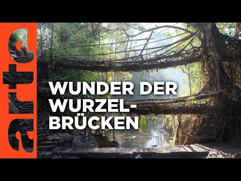Video Thumbnail: Indien: Die lebenden Brücken von Meghalaya | ARTE Reportage Reupload