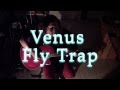 The Vines - Venus Fly Trap Cover 