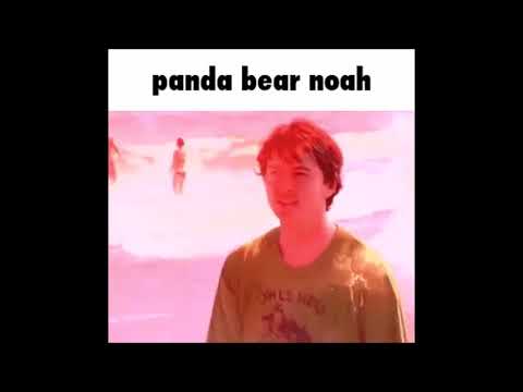 PANDA BEAR NOAH