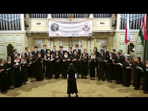 Józef Świder: Cantus Gloriosus #choir #concert #コンサート #歌唱 #音楽 #合唱