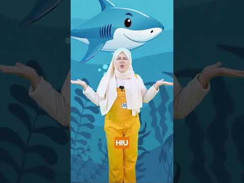 Ajak anak mengenal keunikan berbagai hewan untuk menambah wawasan & pengetahuan tentang dunia satwa