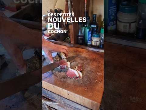 Annual Organic Pig Harvest for Family Sustenance