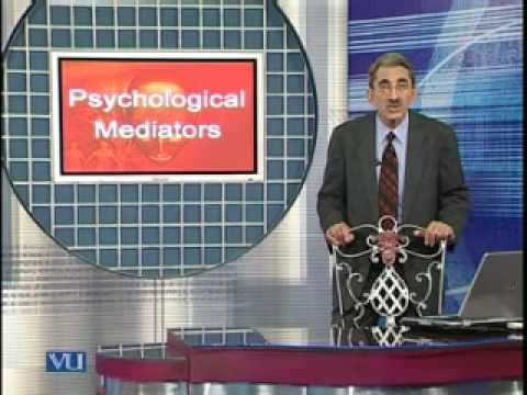 PSY407_Lecture07 thumbnail