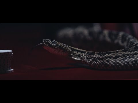 Video thumbnail for Snake Eyes