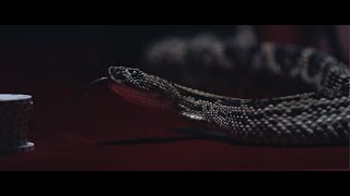 Upon A Burning Body - &quot;Snake Eyes&quot; (Official Music Video)