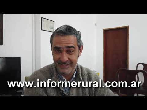 Informe Rural TV - Ezequiel Palmisano, Presidente _ Sociedad Rural de Azul: estados de los caminos