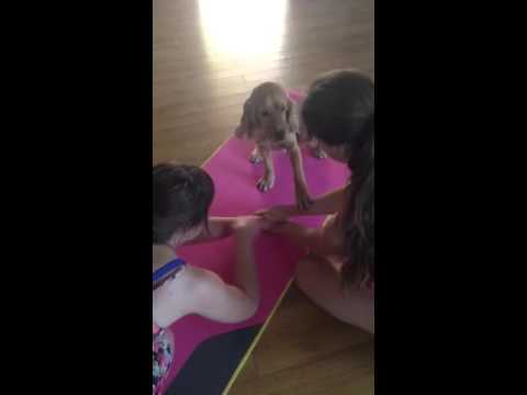 Vienas uz visus,visi uz viena ! ;)