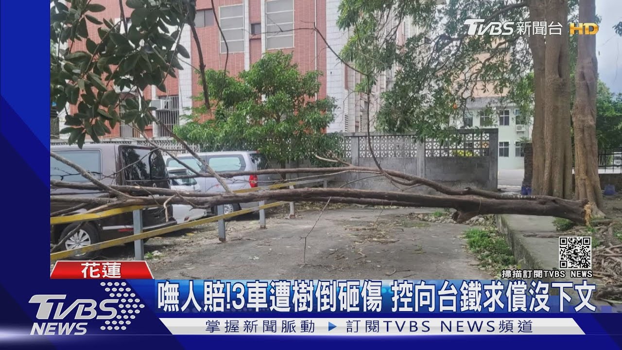 嘸人賠！3車遭樹倒砸傷　控向台鐵求償沒下文