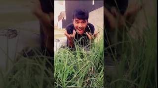 Download lagu Patthar Ke Sanam Tune Humse Milna Milana Chhod Diya mp3