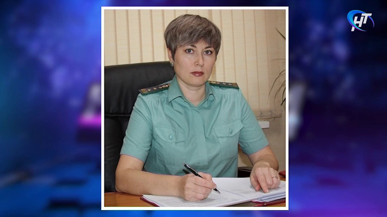 Долги у судебных приставов новгородской области через сколько сгорают долги у судебных приставов
