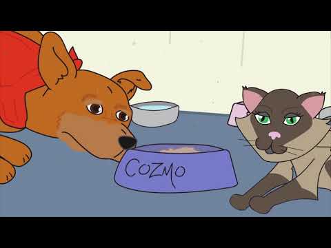 Mondo Cozmo - Plastic Soul (Official Music Video)