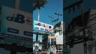 Download lagu story wa keren 🔥 // story wa Tulungagung chek 🎉 // #AyamJago mp3