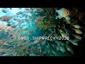 Three Duck Dives Omeo Shipwreck Gopro Hero 9