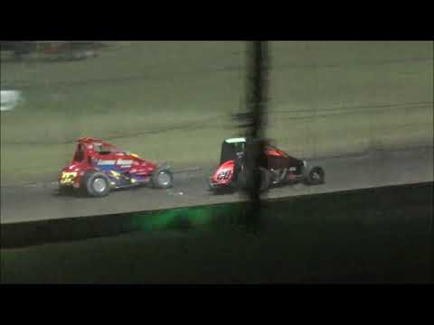Wingless Sprints 50 Lapper - Lismore Speedway - 14.11.20
