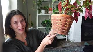 Repotting My *MOST SPECIAL* Begonia Maculata Plant | Houseplant Repot & Chat