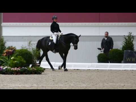 Morricone (v. Millennium-Rubin Royal OLD-De Niro) Hengstschau Bon Homme 2017