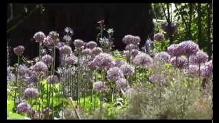 Alan Watts - Fear (Overcoming Fear and Anxiety)