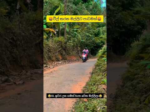 වීල් කරපු මල්ලිට හොද පාඩමක්🤬💣 #bike #srilanka #highcapacity #bikeaccident #accident #shorts #rider