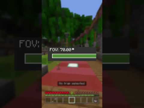 What You’re Minecraft FOV SAYS ABOUT YOU