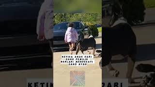 Download lagu 4 Anjing Penjaga Anak Kecil ❗❗🔥 #windusarrr #facts #shortvideo #shorts mp3