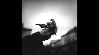 Jacob Steele - Vagabonds at sea