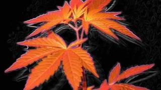 Music video thumbnail preview for Sundial - Mystical weather by Sundial Aeon