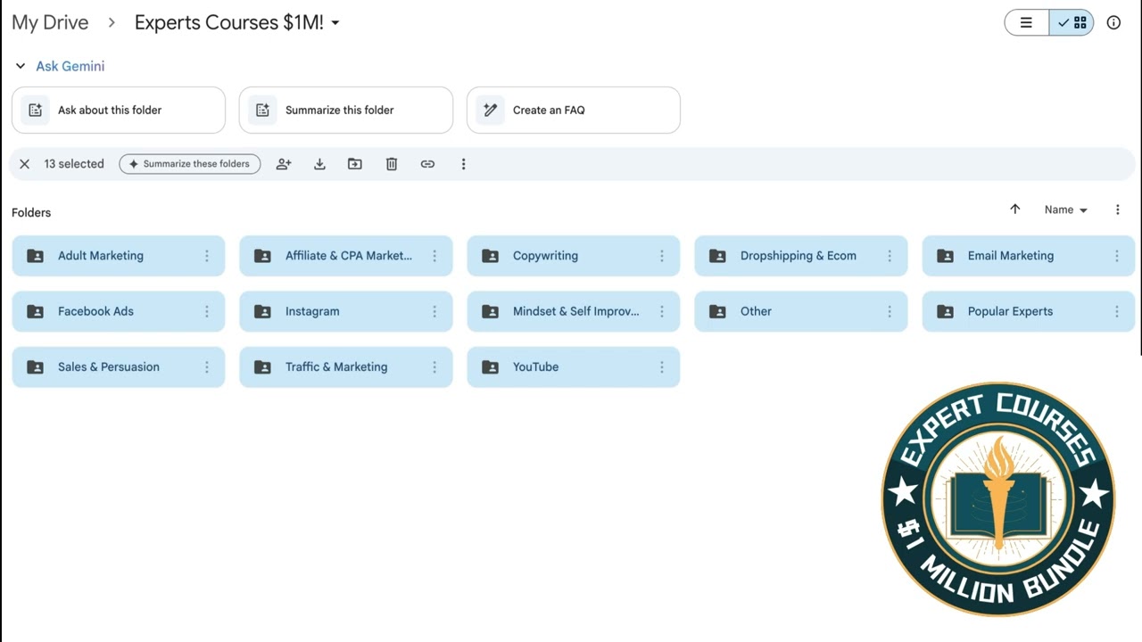Showing Inside The $1M Course Bundle