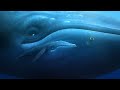 A Turtle S Tale Sammy S Adventure All Baleen Whales