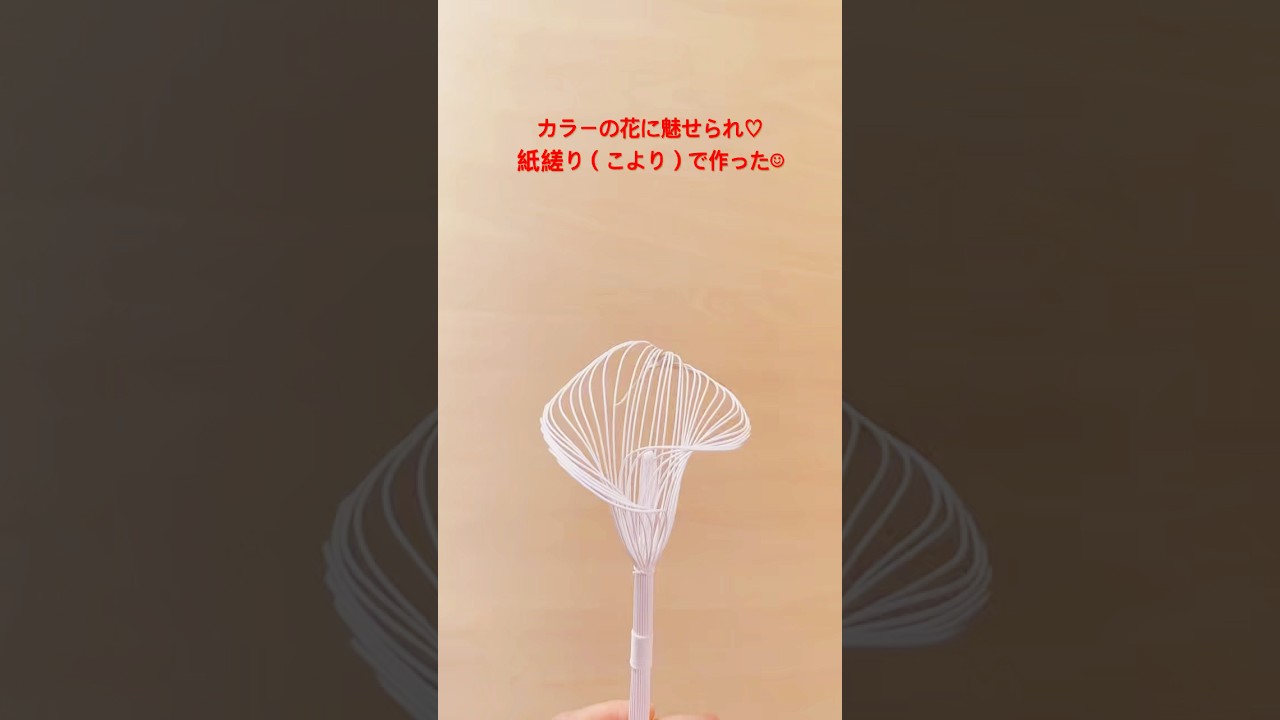 最近、紙縒りと元結がお気に入り♪何度も水引で作ったカラーに再び挑戦^ ^ #水引 #mizuhiki #カラー #紙 #ペーパークラフト