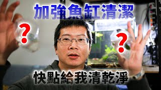 繼續放工具人!加強魚缸清潔 | 藍眼鬍子 蜜蜂角螺 黑金剛螺 | 水族日常