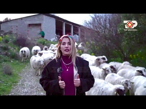 Qyteti i harruar ILIR, që pret të rimëkëmbet - Balkan Project
