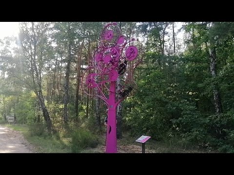 Cieksyn – Szlak kolorowych drzew