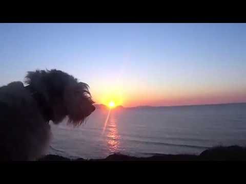 SODES AGAIN: WEEK OUT