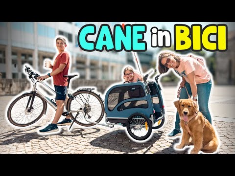 CANE IN BICICLETTA PER LA PRIMA VOLTA: Golden Summer VLOG