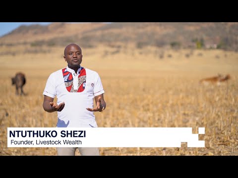 Dr. Sara May, Allergy and Immunology