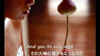 The Rose - Bette Midler (歌詞字幕）English &amp; Japanese Lyrics