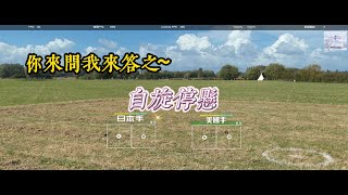 遙控直升機之你問我答之自旋停懸