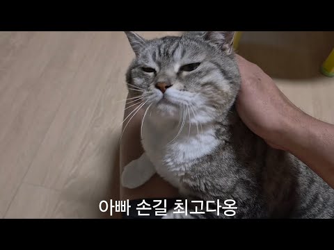 예삐를 미치게 하는 남자