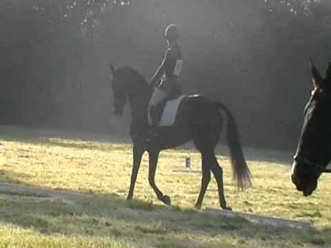 Get Set Autumn Star Dressage @ West Wilts