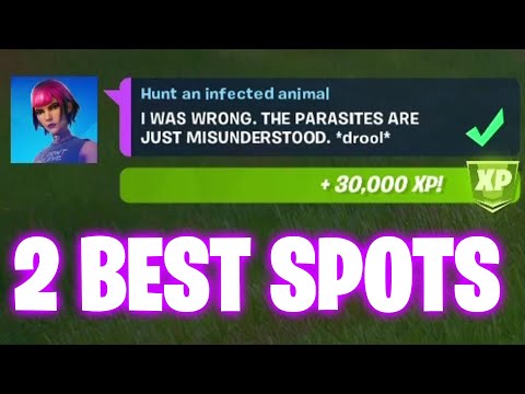 Fortnite Hunt an infected animal