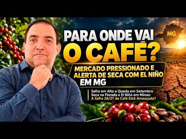 Para Onde Vai o Café? Mercado Pressionado e Alerta de Seca com El Niño em MG.