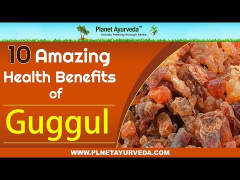 10 Amazing Health Benefits of Guggul (Commiphora Mukul)