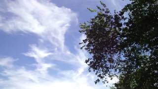 Casualties of Cool - Devin Townsend - Where You've Been